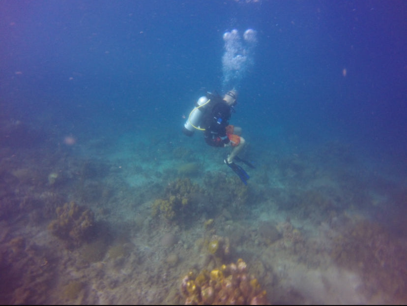 Mini Curso de Buceo en Baru