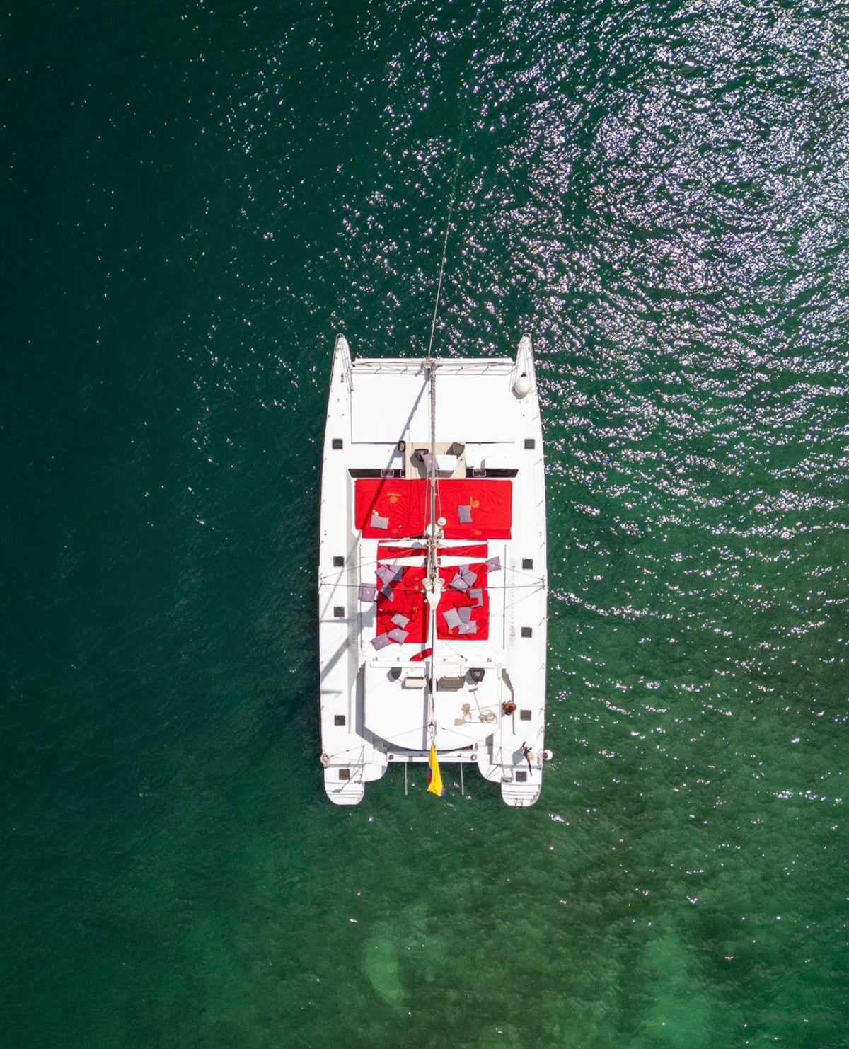 CATAMARAN  | 56 PERSONAS