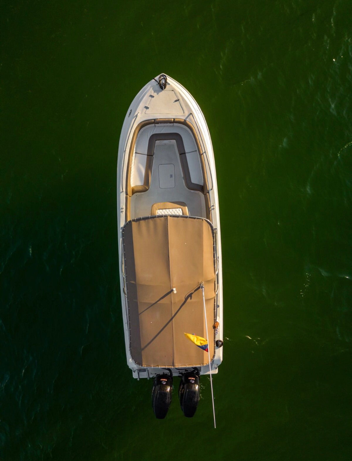 BOTE DEPORTIVO - 10PAX (FESTIVAL)