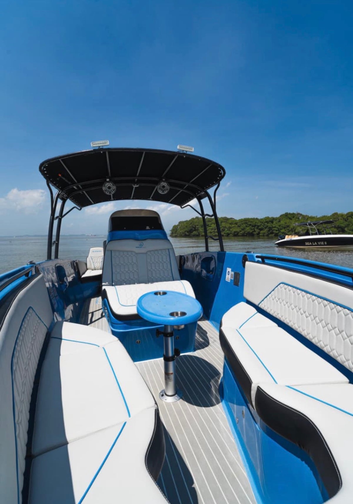 BOTE LUJO - 29FT - 10 PAX (FESTIVAL)